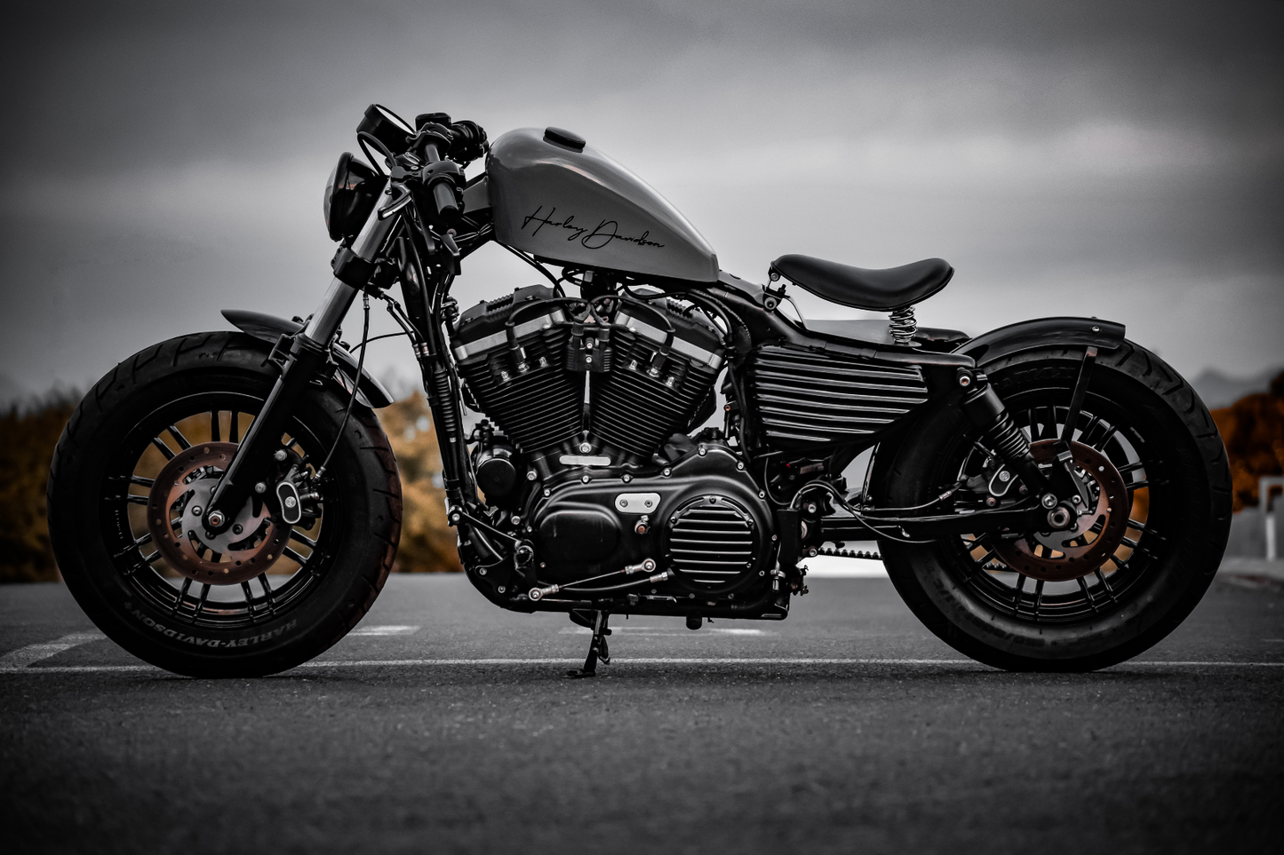 2018 Harley-Davidson Sportster 48 Bobber