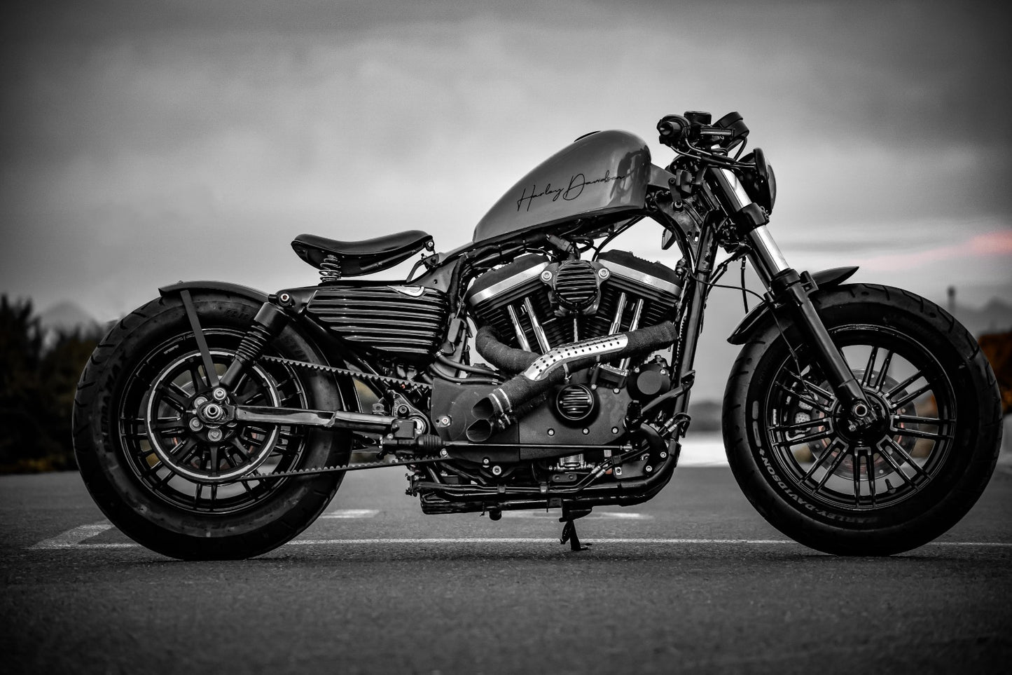 2018 Harley-Davidson Sportster 48 Bobber